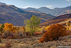 Wasatchparkcolors102510