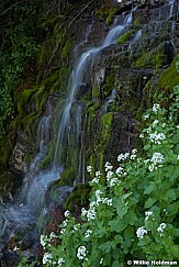 Timpanogos Waterfall 070913 4791